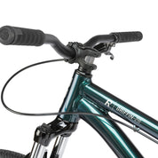 Griffin Complete Bike