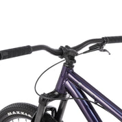 Griffin Complete Bike