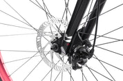Legion 29 Complete Bike