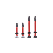 Raceline Tubeless Valve