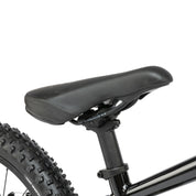 Zuma 20 Complete Bike