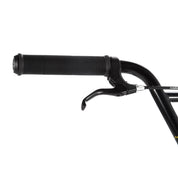 Dice 20" Complete Bike