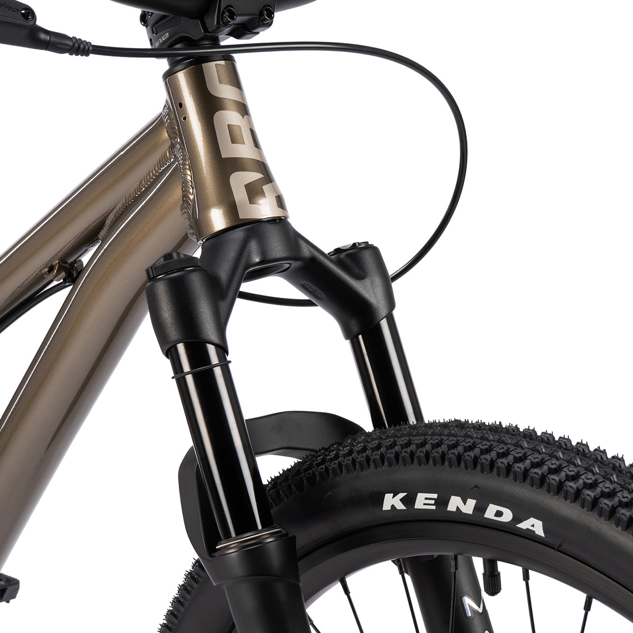 Griffin 24" Complete Bike