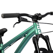 Griffin 24" Complete Bike