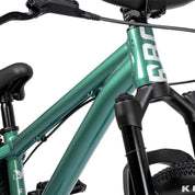 Griffin 24" Complete Bike