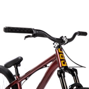 Griffin 26" Complete Bike