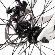 Legion 29 Complete Bike