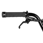 Quartz Carbonic Pro Complete Bike