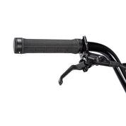 Quartz Pro Cruiser XL Complete Bike