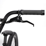 Quartz Pro 20" Complete Bike
