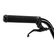 Saiko 20" Complete Bike