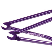 Saxon Frame