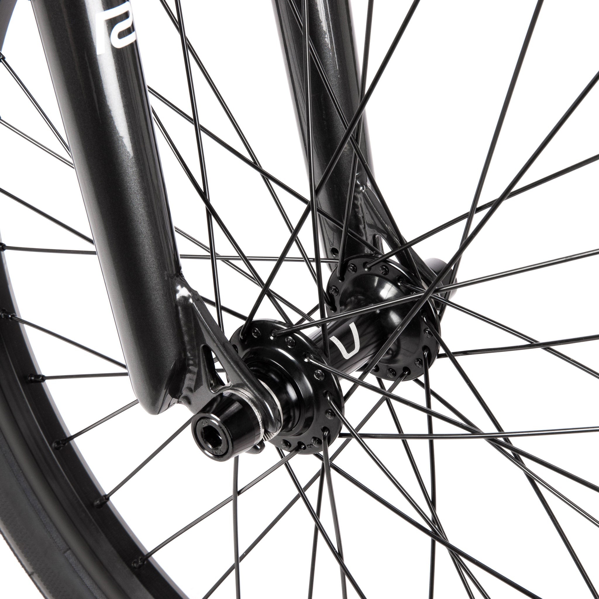 Xenon Pro XXL Complete Bike