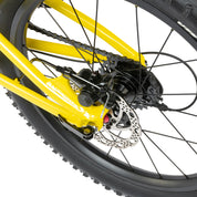 Zuma 20 Complete Bike